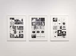 Exhibition Design for Dogs - thumbnail 4