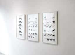 Exhibition Design for Dogs - thumbnail 5