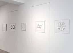 Exhibition Design for Dogs - thumbnail 6