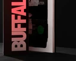Editorial Design for 1985 Buffalo - thumbnail 7