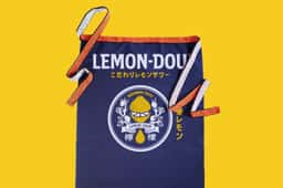 Visual Identity for Lemon-Dou - thumbnail 8