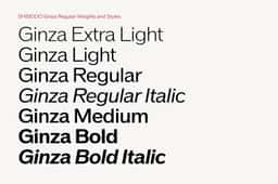 Visual Identity for Shiseido - thumbnail 7