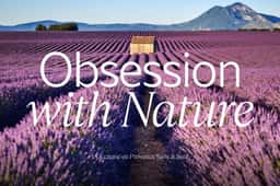 Custom Typeface for L’Occitane En Provence - thumbnail 7