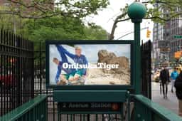 Logotype Refinement for Onitsuka Tiger - thumbnail 6