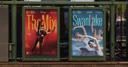 Brand Identity for Royal Winnipeg Ballet - thumbnail 2