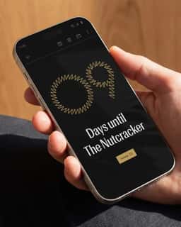 Brand Identity for Royal Winnipeg Ballet - thumbnail 9