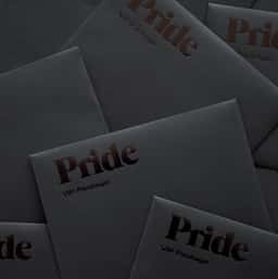 Visual Identity for Pride Toronto Festival - thumbnail 6