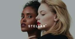 Brand Identity and Packaging for Stellar Makeup - thumbnail 2