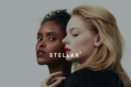 Brand Identity and Packaging for Stellar Makeup - thumbnail 3