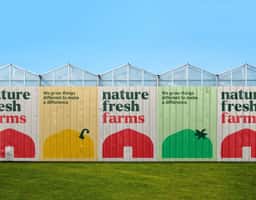 Brand Identity and Packaging for a Greenhouse Produce Grower - thumbnail 3