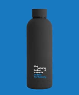 Brand Identity for the National Ballet of Canada - thumbnail 9