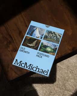 Brand Identity and Website for McMichael Canadian Art Collection - thumbnail 9