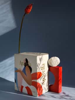 Package design for a summer wine  - thumbnail 3