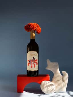 Package design for a summer wine  - thumbnail 5