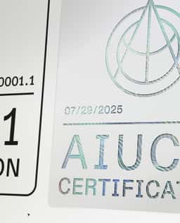 Brand Identity for AI Agent Certification and Insurance - thumbnail 5
