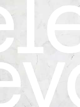 Brand Identity for Elevo Talent Management Platform - thumbnail 5