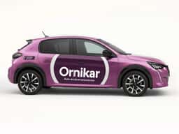 Brand Identity for Ornikar - thumbnail 6