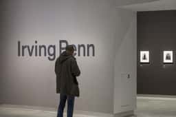 Signage for the Irving Penn Exhibition - thumbnail 3