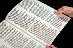 Editorial Design for Matar, Matar, Matar - thumbnail 8