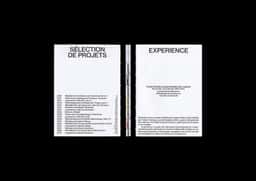 Portfolio for Experience Architecture Firm - thumbnail 3
