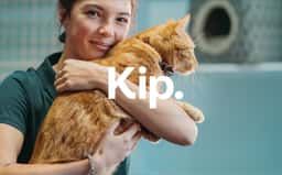 Brand Identity for Kip Happy Stays - thumbnail 2
