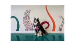 Brand Identity for Kip Happy Stays - thumbnail 7