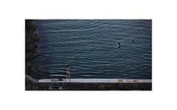 Brand Identity for Northsea Coastal Development - thumbnail 4