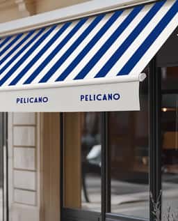 Brand Identity for Pelicano's Sydney Relaunch - thumbnail 4