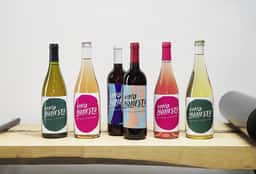 Visual Identity for Organic Wine Brand Vino Honesto - thumbnail 9