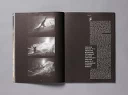 Art Direction for a Bigger Park Magazine and Website - thumbnail 3