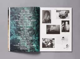 Art Direction for a Bigger Park Magazine and Website - thumbnail 9