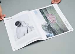 Art Direction for a Bigger Park Magazine - thumbnail 5