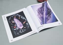 Art Direction for a Bigger Park Magazine - thumbnail 8