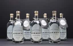 Visual Identity for Borakay Spirit - thumbnail 2