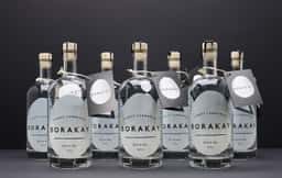 Visual Identity for Borakay Spirit - thumbnail 3
