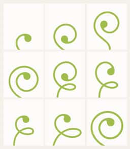 Brand refresh for a natural and organic food retailer  - thumbnail 6
