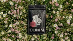 Visual identity for an independent coffee house - thumbnail 2