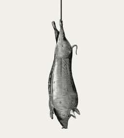 Brand Identity for Paternoster Chop House Restaurant - thumbnail 3