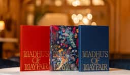 Brand Identity for Madhu's of Mayfair - thumbnail 6