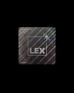 Visual Identity for Lex Records - thumbnail 2