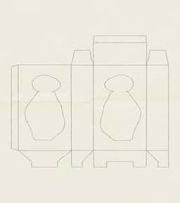 Packaging Design for Delta Goodrem Fragrance - thumbnail 6
