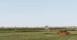 Annual Report Design for Alberta Cancer Foundation - thumbnail 2