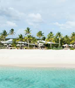 Website and Brochure Design for the Beach Club Barbuda - thumbnail 3