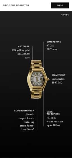 Product landing page for a luxury watch collection  - thumbnail 6