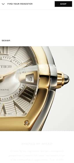 Product landing page for a luxury watch collection  - thumbnail 8