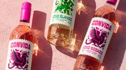 Brand Identity for Convida Wine - thumbnail 8