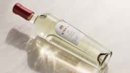 Packaging and Brand Identity for Eterna Ultra-Luxury White Wine - thumbnail 4
