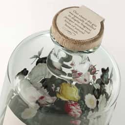 Packaging for Tread Softly Gin - thumbnail 6
