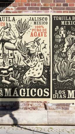 Brand Identity for Los Dias Mágicos Tequila - thumbnail 3