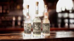 Brand Identity for Los Dias Mágicos Tequila - thumbnail 7